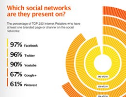 Campalyst: Top 250 Internet Retailers On Social Media Infographic Campalyst: Top 250 Internet Retailers On Social Media Infographic