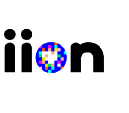 iion